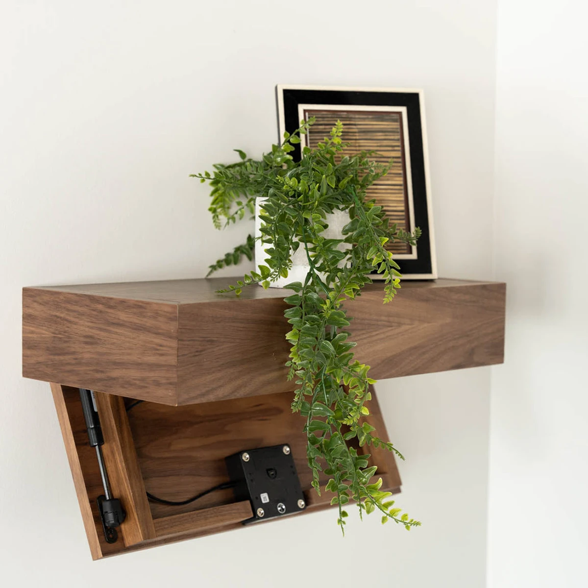 Floating wooden Murphy shelf with a hidden folding bed mechanism underneath, styled with a trailing plant and framed artwork.